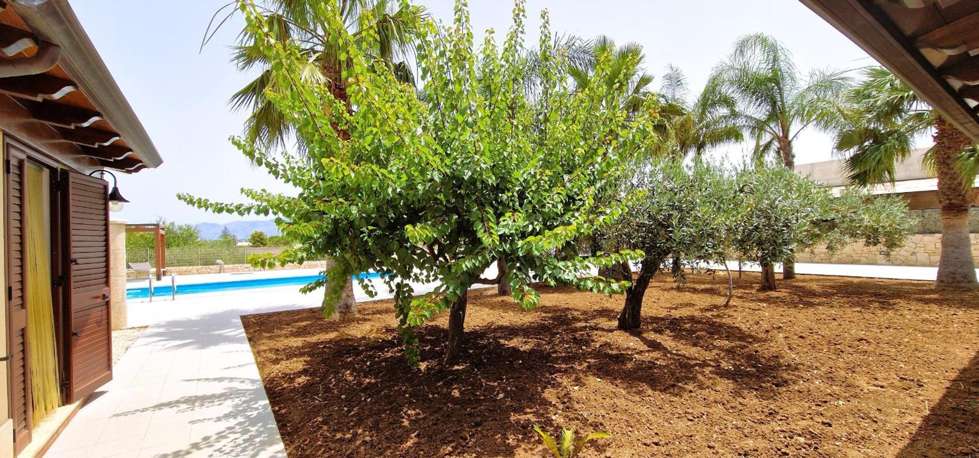 Villa Paradiso ألكامو مارينا المظهر الخارجي الصورة
